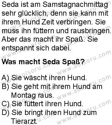 Almanca 7 Dersi 2025-2026 yılı 1. Dönem sınavı 5. Soru