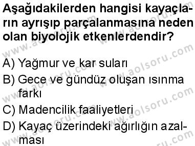 Coğrafya 3 Dersi 2025-2026 yılı 1. Dönem sınavı 6. Soru