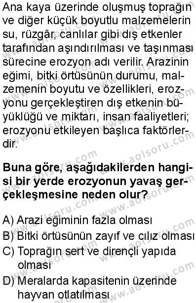 Coğrafya 3 Dersi 2025-2026 yılı 1. Dönem sınavı 8. Soru