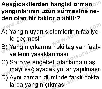 Coğrafya 4 Dersi 2025-2026 yılı 1. Dönem sınavı 6. Soru