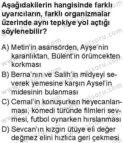 Seçmeli Psikoloji 1 Dersi 2025-2026 yılı 1. Dönem sınavı 3. Soru