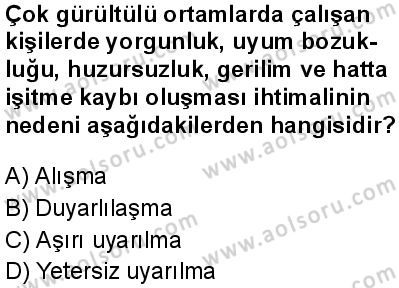 Seçmeli Psikoloji 1 Dersi 2025-2026 yılı 1. Dönem sınavı 6. Soru