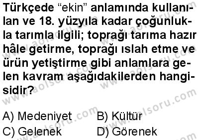 Seçmeli Sosyoloji 2 Dersi 2025-2026 yılı 1. Dönem sınavı 1. Soru