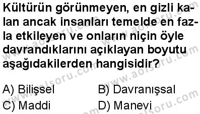 Seçmeli Sosyoloji 2 Dersi 2025-2026 yılı 1. Dönem sınavı 2. Soru