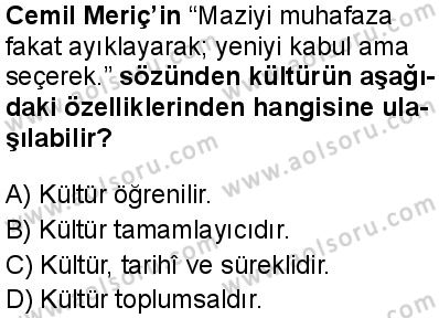 Seçmeli Sosyoloji 2 Dersi 2025-2026 yılı 1. Dönem sınavı 4. Soru
