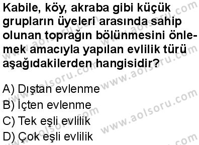 Seçmeli Sosyoloji 2 Dersi 2025-2026 yılı 1. Dönem sınavı 6. Soru
