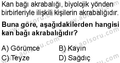 Seçmeli Sosyoloji 2 Dersi 2025-2026 yılı 1. Dönem sınavı 7. Soru
