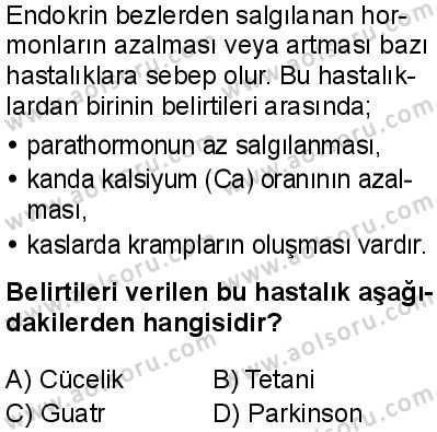 Seçmeli Biyoloji 1 Dersi 2025-2026 yılı 1. Dönem sınavı 3. Soru