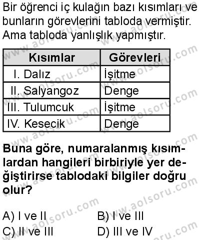 Seçmeli Biyoloji 1 Dersi 2025-2026 yılı 1. Dönem sınavı 4. Soru