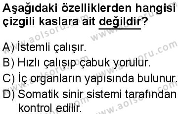 Seçmeli Biyoloji 1 Dersi 2025-2026 yılı 1. Dönem sınavı 5. Soru