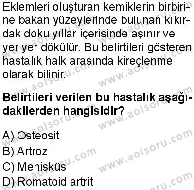 Seçmeli Biyoloji 1 Dersi 2025-2026 yılı 1. Dönem sınavı 6. Soru