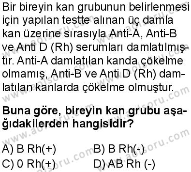 Seçmeli Biyoloji 1 Dersi 2025-2026 yılı 1. Dönem sınavı 8. Soru