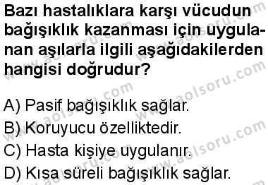 Seçmeli Biyoloji 1 Dersi 2025-2026 yılı 1. Dönem sınavı 10. Soru