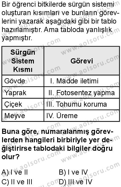 Seçmeli Biyoloji 4 Dersi 2025-2026 yılı 1. Dönem sınavı 1. Soru