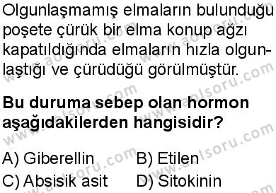Seçmeli Biyoloji 4 Dersi 2025-2026 yılı 1. Dönem sınavı 3. Soru