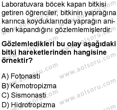 Seçmeli Biyoloji 4 Dersi 2025-2026 yılı 1. Dönem sınavı 5. Soru