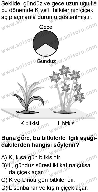 Seçmeli Biyoloji 4 Dersi 2025-2026 yılı 1. Dönem sınavı 6. Soru