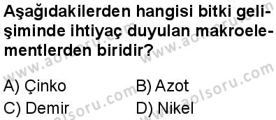 Seçmeli Biyoloji 4 Dersi 2025-2026 yılı 1. Dönem sınavı 8. Soru