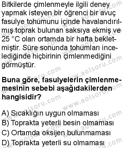 Seçmeli Biyoloji 4 Dersi 2025-2026 yılı 1. Dönem sınavı 9. Soru