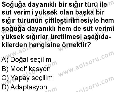 Seçmeli Biyoloji 4 Dersi 2025-2026 yılı 1. Dönem sınavı 10. Soru
