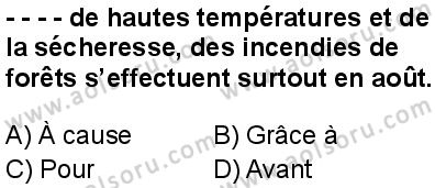 Fransızca 6 Dersi 2025-2026 yılı 1. Dönem sınavı 2. Soru