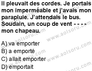 Fransızca 6 Dersi 2025-2026 yılı 1. Dönem sınavı 3. Soru