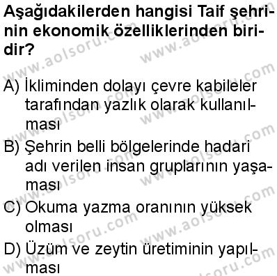 Seçmeli Peygamberimizin Hayatı 3 Dersi 2025-2026 yılı 1. Dönem sınavı 2. Soru