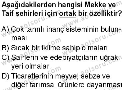 Seçmeli Peygamberimizin Hayatı 3 Dersi 2025-2026 yılı 1. Dönem sınavı 5. Soru