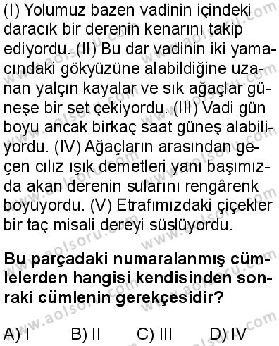 Türk Dili ve Edebiyatı 3 Dersi 2025-2026 yılı 1. Dönem sınavı 8. Soru