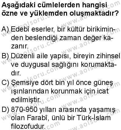 Türk Dili ve Edebiyatı 5 Dersi 2025-2026 yılı 1. Dönem sınavı 6. Soru