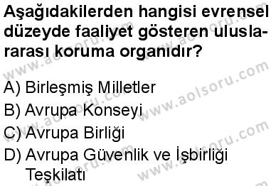 Seçmeli Demokrasi ve İnsan Hakları 2 Dersi 2025-2026 yılı 1. Dönem sınavı 2. Soru