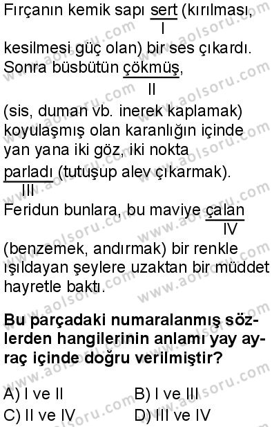 Seçmeli Türk Dili ve Edebiyatı 1 Dersi 2025-2026 yılı 1. Dönem sınavı 8. Soru