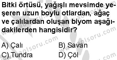Seçmeli Coğrafya 1 Dersi 2025-2026 yılı 2. Dönem sınavı 1. Soru