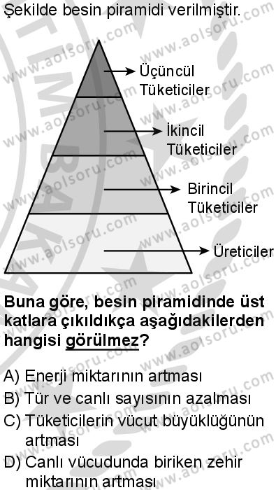 Seçmeli Coğrafya 1 Dersi 2025-2026 yılı 2. Dönem sınavı 2. Soru
