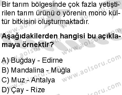 Seçmeli Coğrafya 1 Dersi 2025-2026 yılı 2. Dönem sınavı 10. Soru
