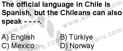 İngilizce 1 Dersi 2025-2026 yılı 2. Dönem sınavı 2. Soru