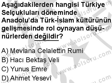 Seçmeli Ortak Türk Tarihi 1 Dersi 2025-2026 yılı 2. Dönem sınavı 9. Soru