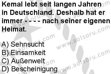 Almanca 5 Dersi 2025-2026 yılı 2. Dönem sınavı 2. Soru