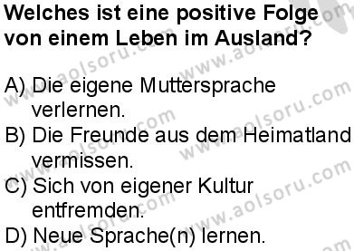 Almanca 5 Dersi 2025-2026 yılı 2. Dönem sınavı 9. Soru