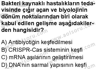 Biyoloji 1 Dersi 2025-2026 yılı 2. Dönem sınavı 1. Soru