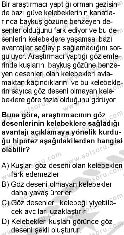 Biyoloji 1 Dersi 2025-2026 yılı 2. Dönem sınavı 2. Soru