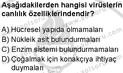 Biyoloji 1 Dersi 2025-2026 yılı 2. Dönem sınavı 6. Soru