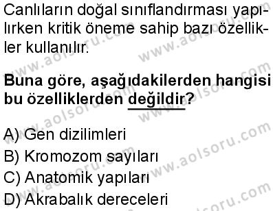 Biyoloji 1 Dersi 2025-2026 yılı 2. Dönem sınavı 8. Soru