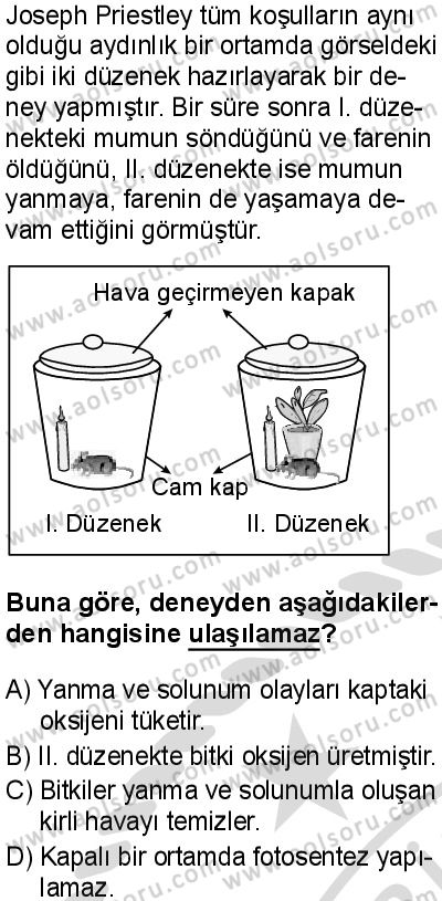 Biyoloji 3 Dersi 2025-2026 yılı 2. Dönem sınavı 2. Soru