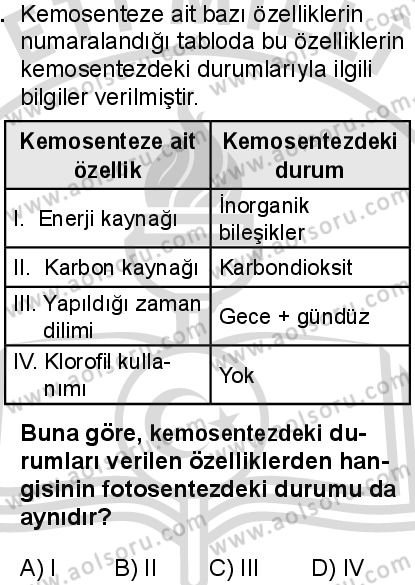 Biyoloji 3 Dersi 2025-2026 yılı 2. Dönem sınavı 5. Soru