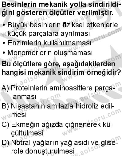 Biyoloji 3 Dersi 2025-2026 yılı 2. Dönem sınavı 6. Soru