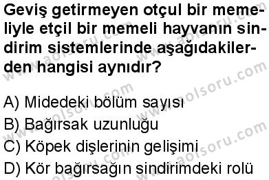 Biyoloji 3 Dersi 2025-2026 yılı 2. Dönem sınavı 7. Soru