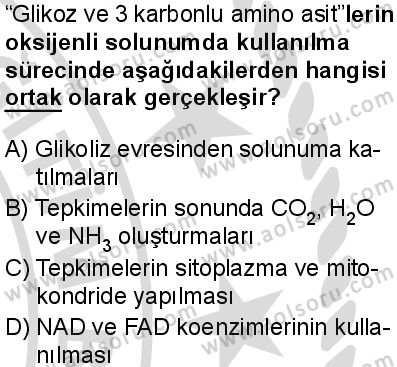 Biyoloji 3 Dersi 2025-2026 yılı 2. Dönem sınavı 9. Soru