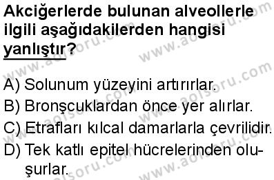 Seçmeli Biyoloji 2 Dersi 2025-2026 yılı 2. Dönem sınavı 1. Soru