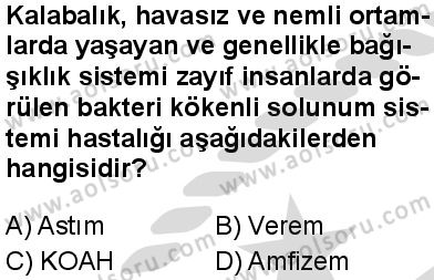 Seçmeli Biyoloji 2 Dersi 2025-2026 yılı 2. Dönem sınavı 2. Soru